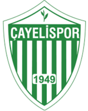 https://img.vattiyyj.com/img/football/team/98ef16297a173b12921045619237aea5.png